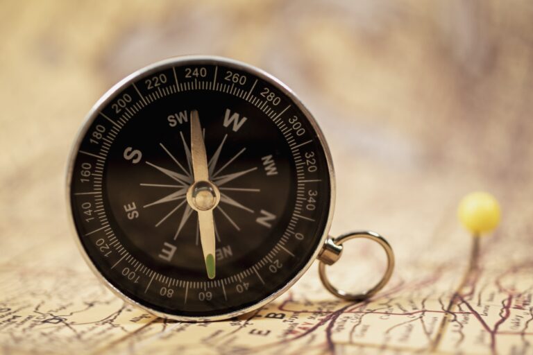 view-world-travel-map-with-compass (1)-min